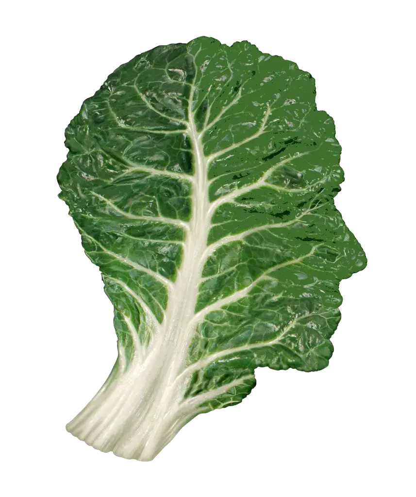 Green Leaf
