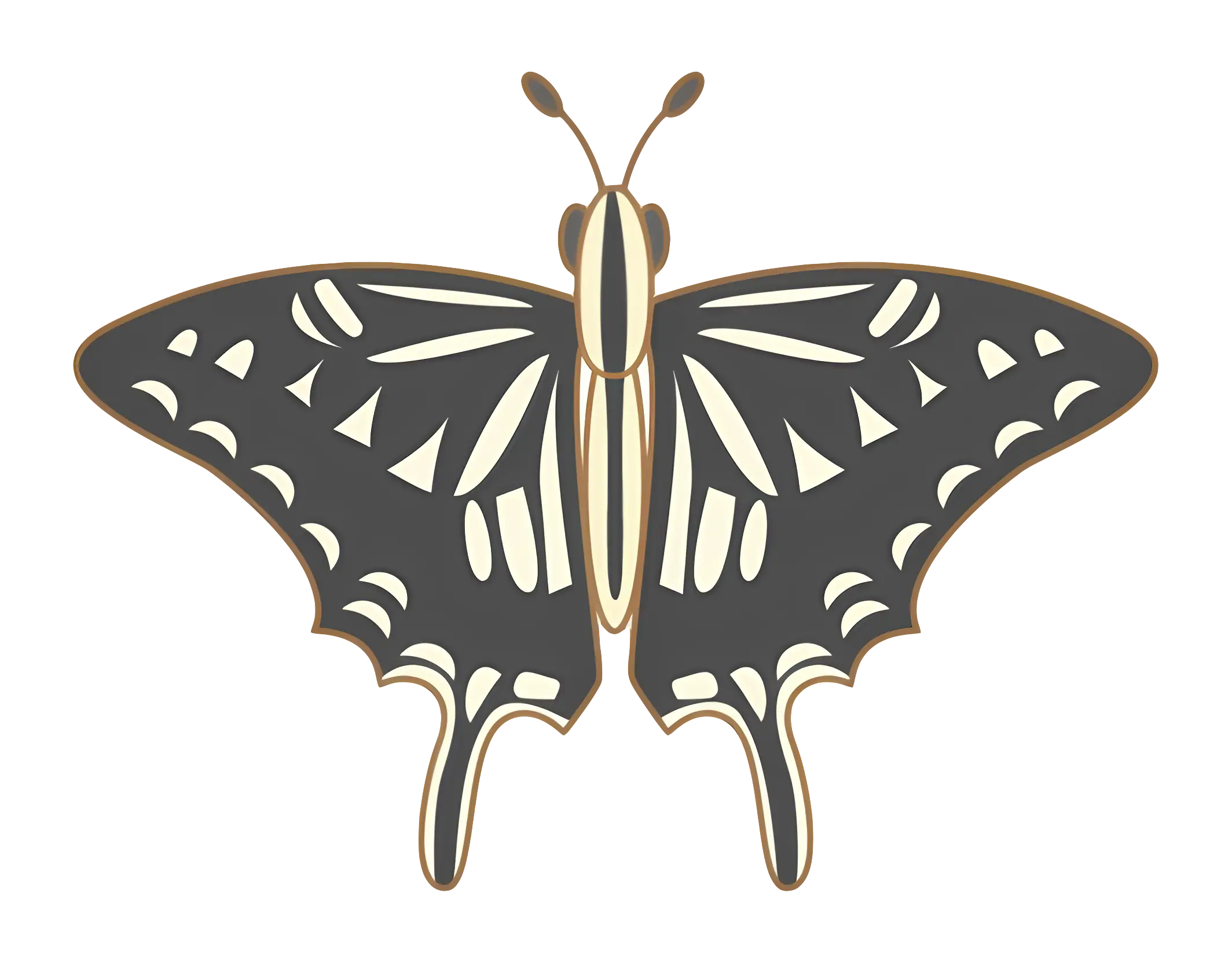 Black and White Butterfly
