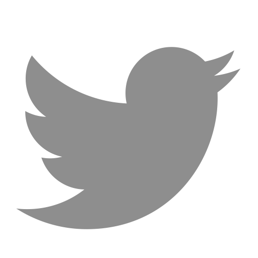 Twitter Bird Logo Design