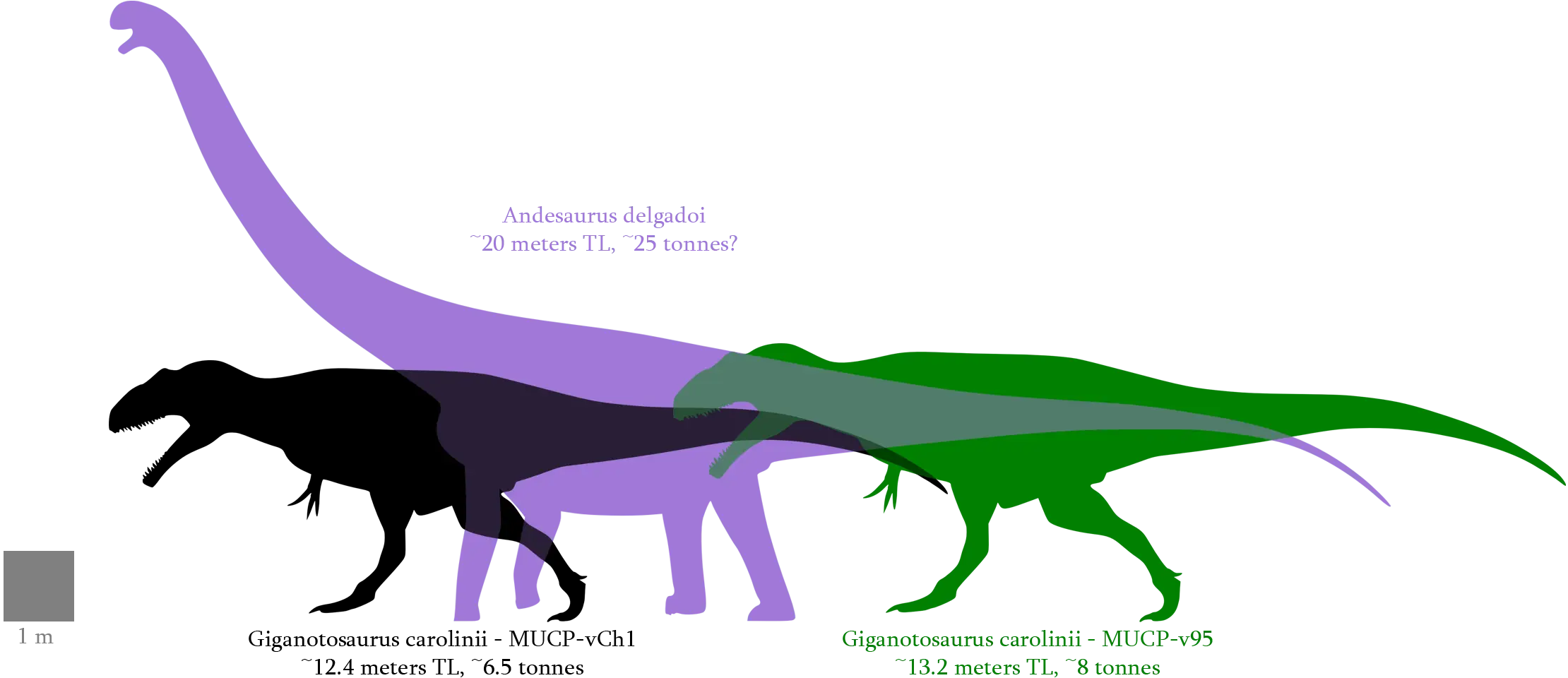 Dinosaur Size Comparison