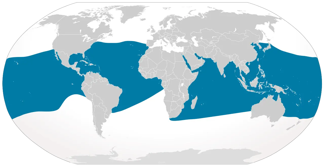 World Map with Highlighted Regions