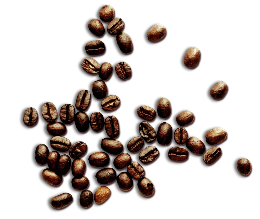 Scatter of Coffee Beans