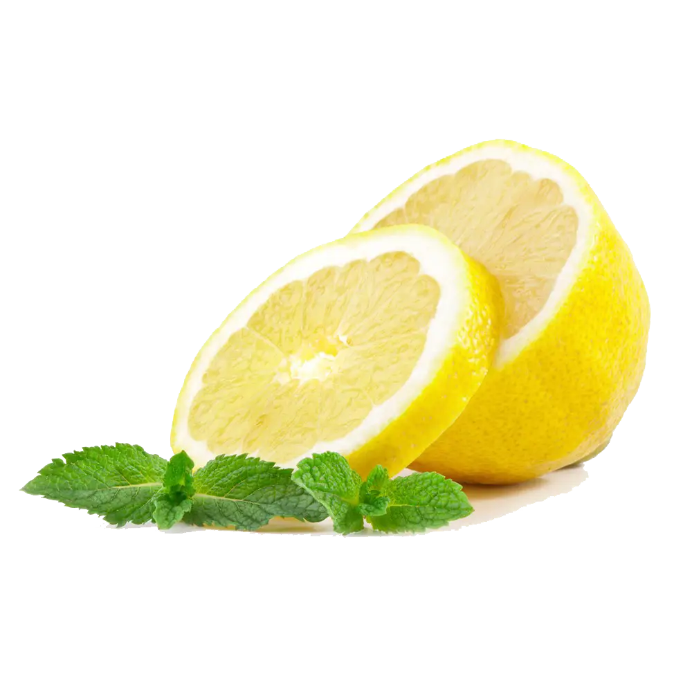 Sliced Lemons with Fresh Mint Leaves