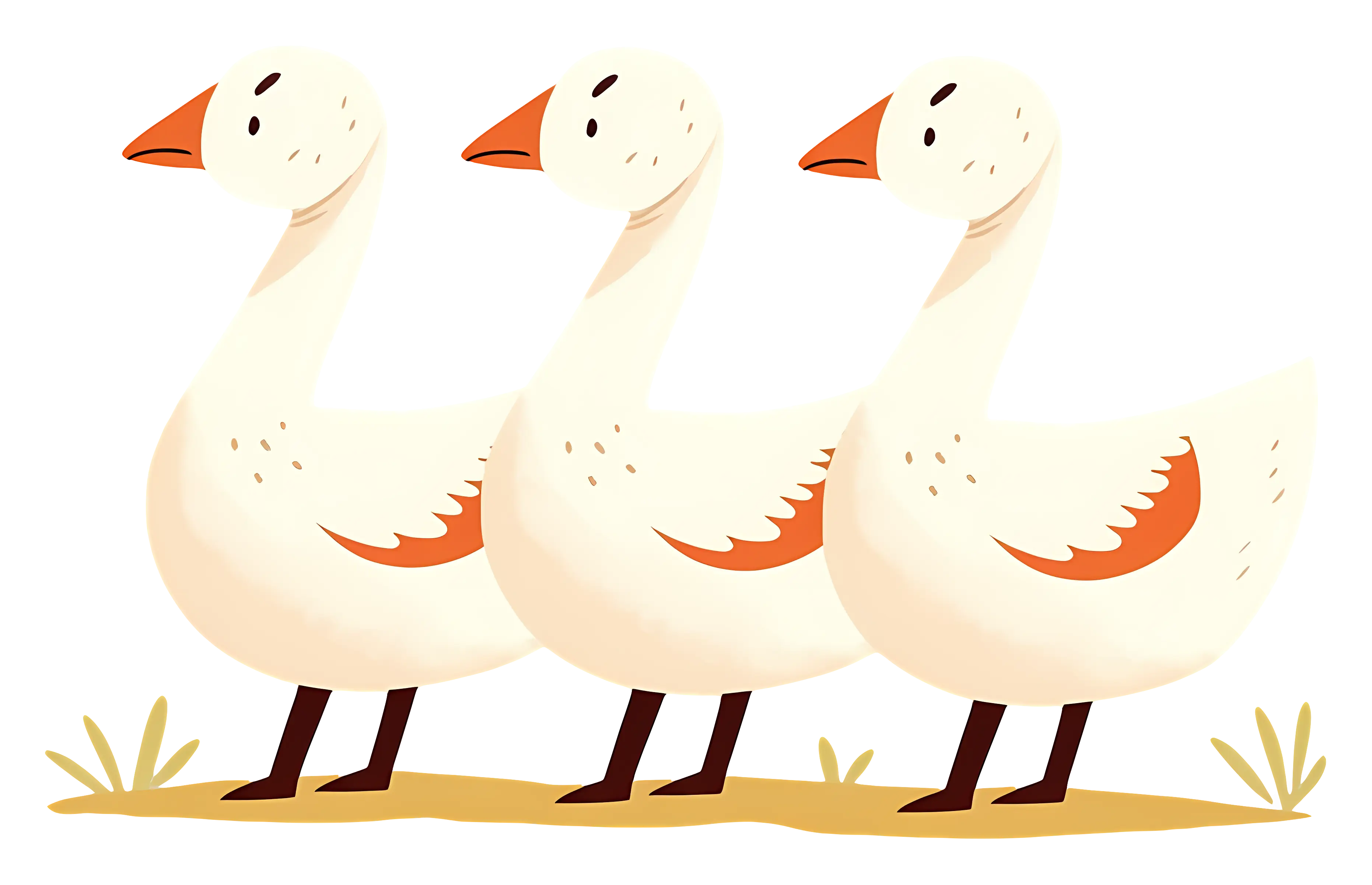 Three White Geese Illustration