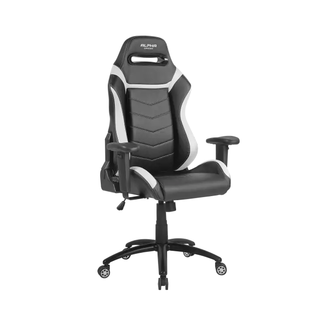 Ergonomic Black and White Gaming Chair