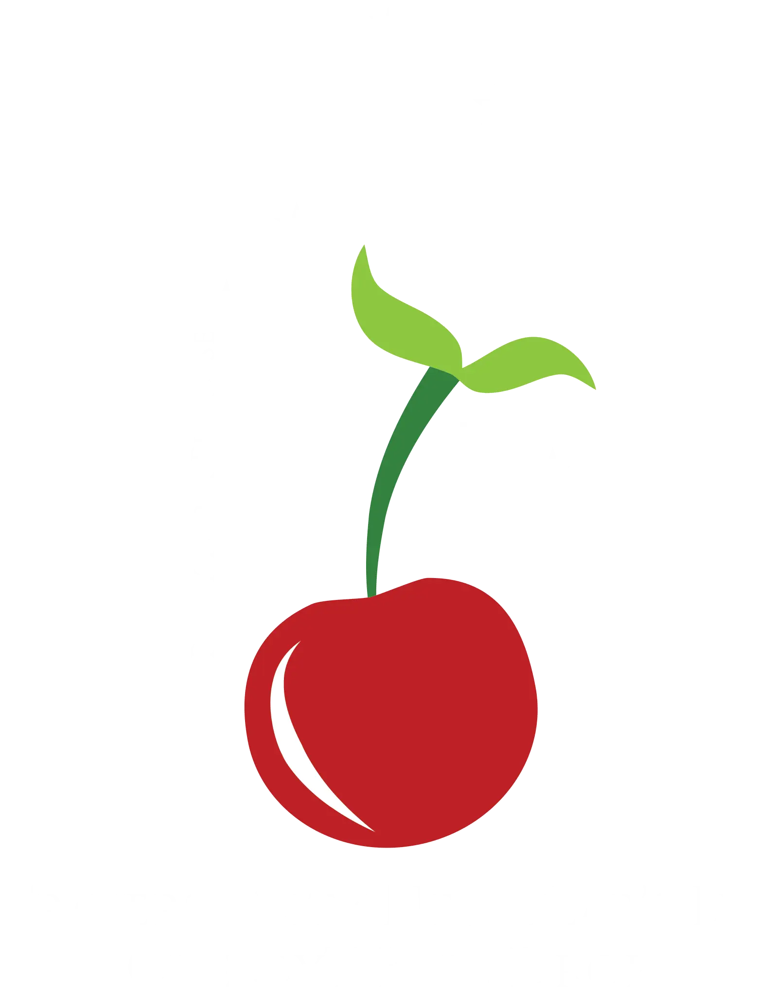 Fresh Red Cherry