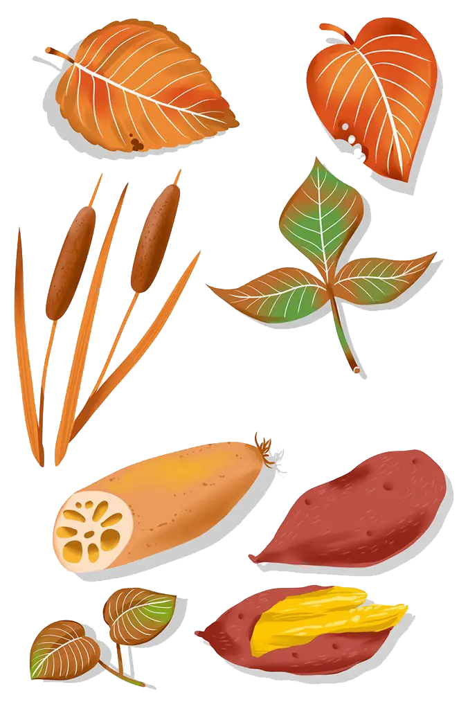 Autumn Leaves and Plants Collection