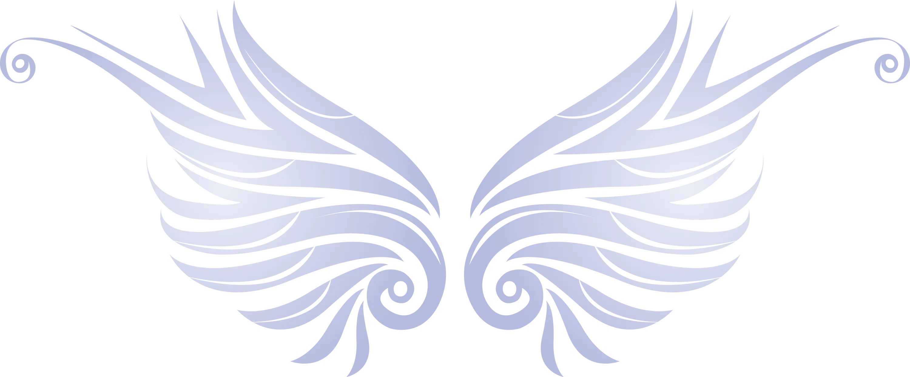 Decorative Ornamental Angel Wings