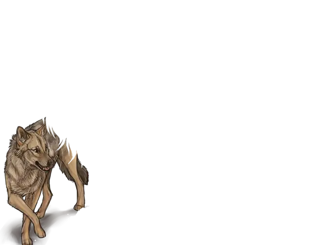 Illustrated Wolf in a Stance