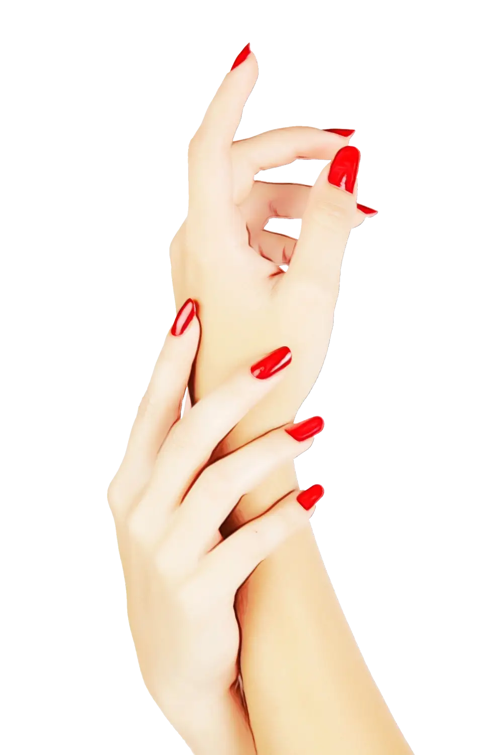 Elegant Hands with Red Nails Illustration