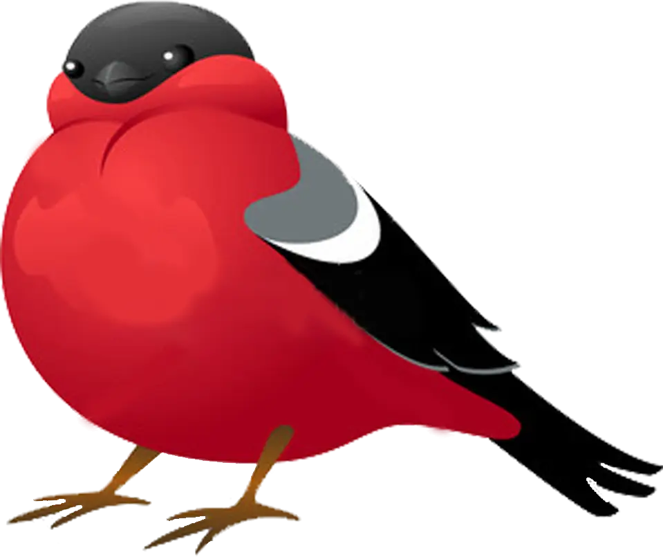 Red Bird Wildlife Illustration
