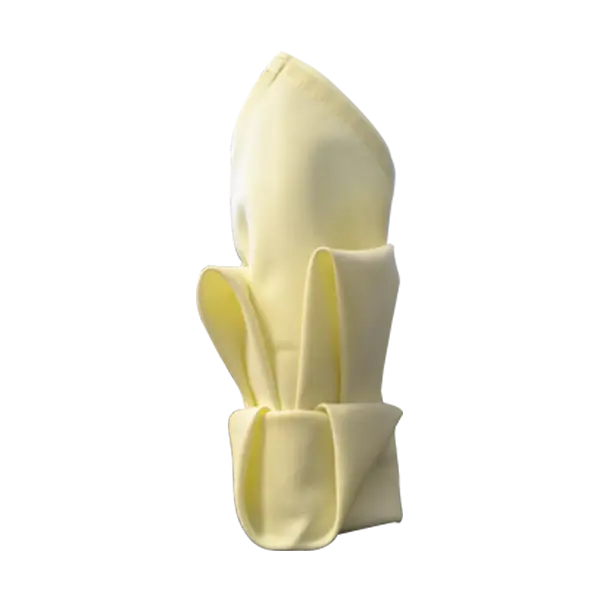 Folded Cloth Napkin