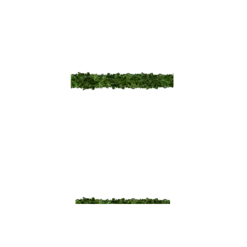 Green Hedge for Garden Decoration