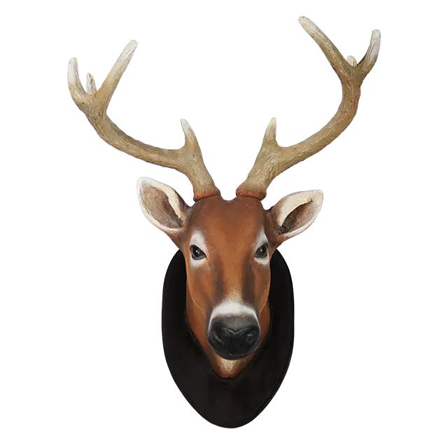 Deer&#039;s Head Mount with Large Antlers