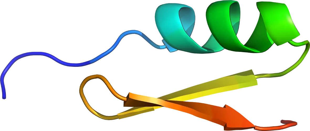 Colorful Protein Molecule Structure