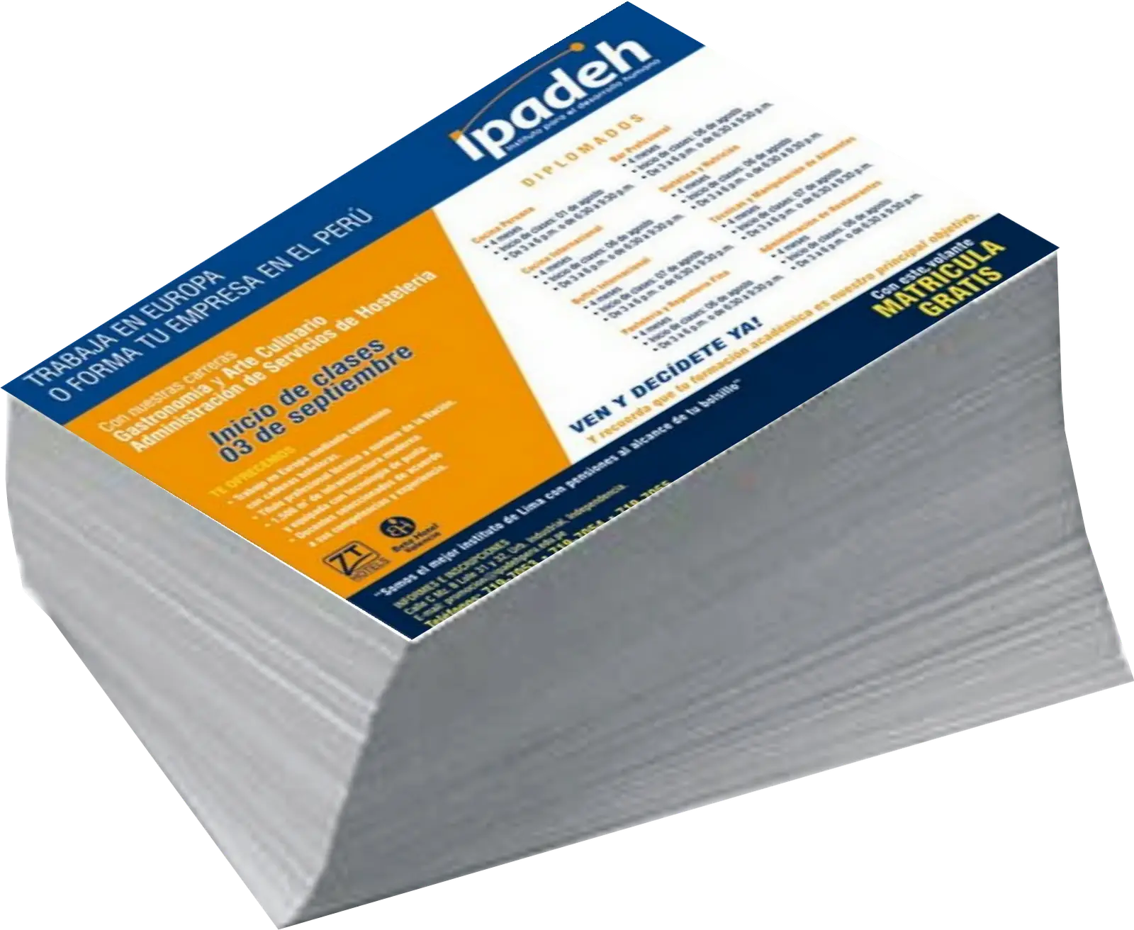 Stack of Promotional Flyers