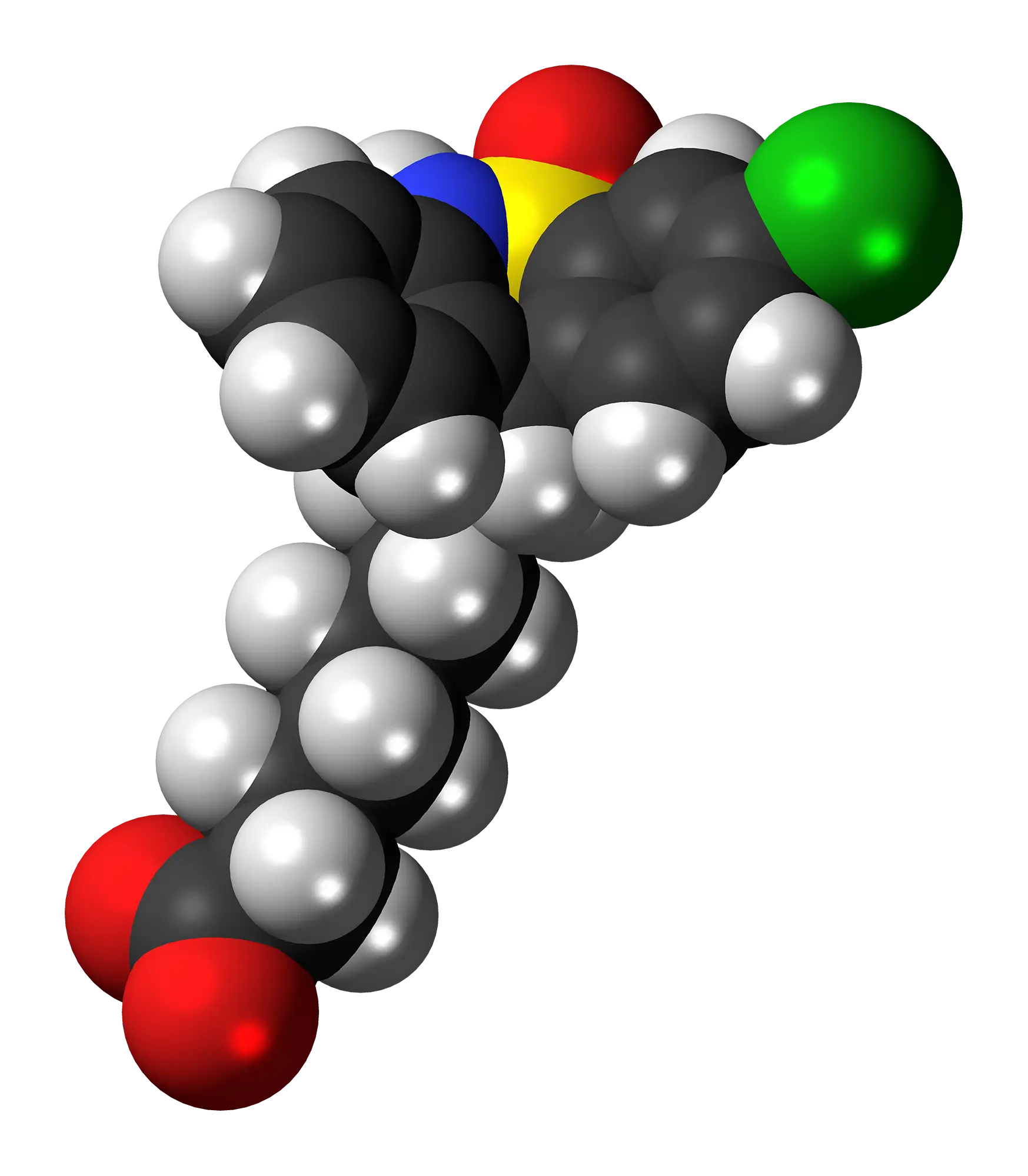 3D Chemical Molecule Visualization