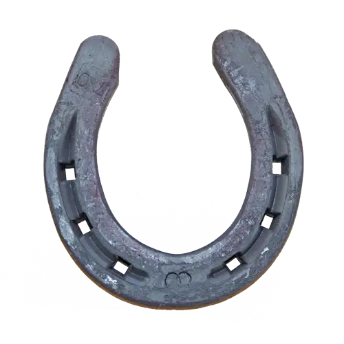 Metal Horseshoe for Luck