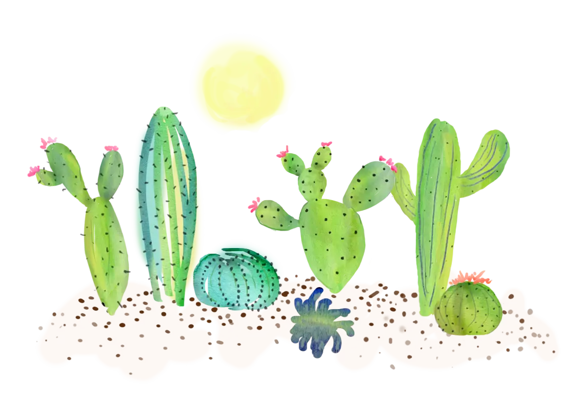 Various Cacti in Desert