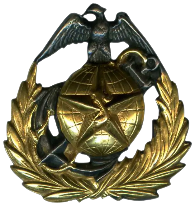 Vintage Military Insignia Badge