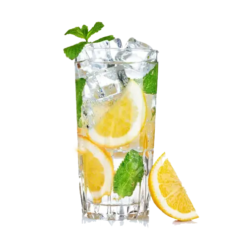 Refreshing Lemon Mint Drink with Ice