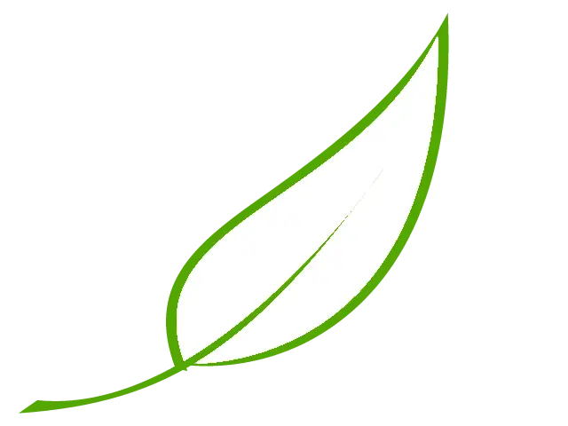 Minimalist Green Leaf Design