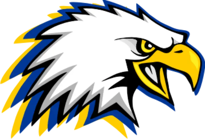 Fierce Eagle Head Mascot