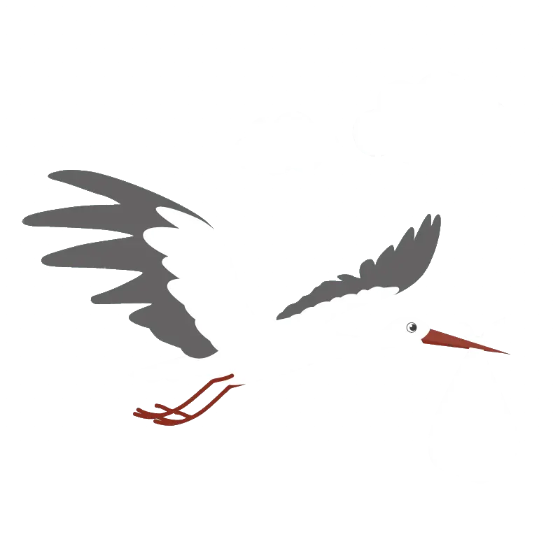 Flying Stork with Baby Delivery