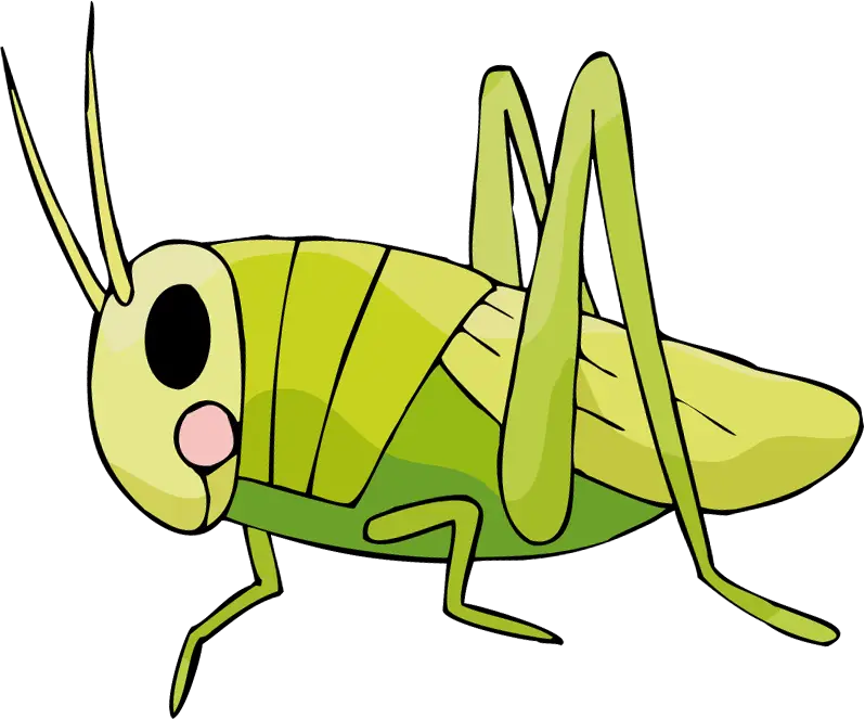 Cartoon Grasshopper in Green Illustration