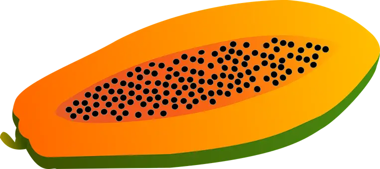 Illustration of Papaya Fruit Slice with Seeds