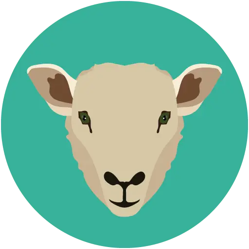 Sheep Face Illustration