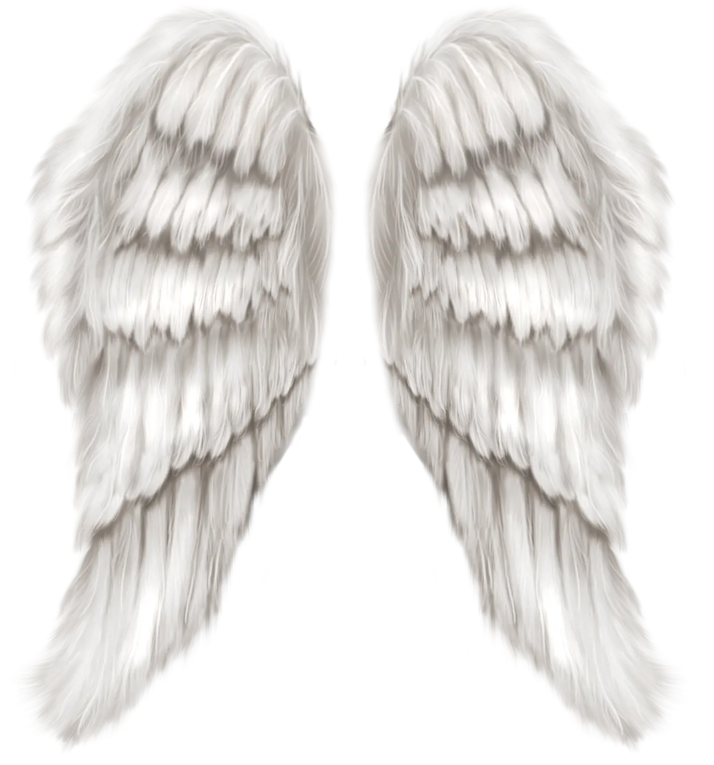 White Angel Wings