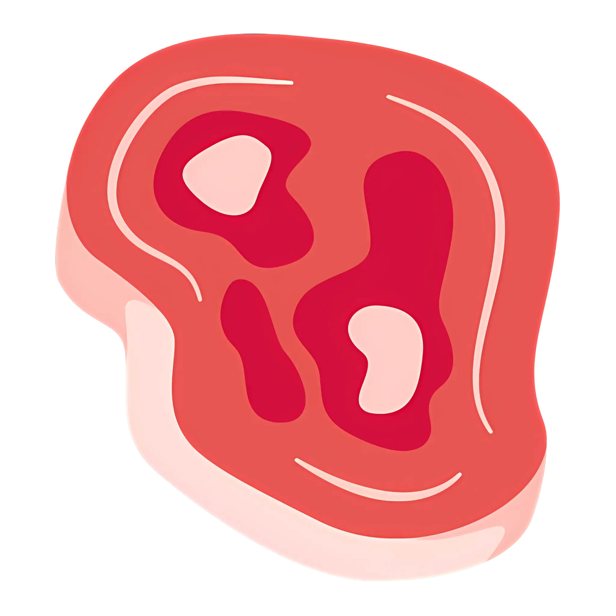 Raw Steak Illustration