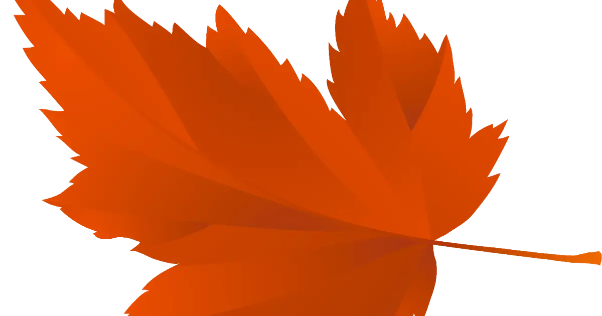 Orange Maple Leaf Illustration for Autumn