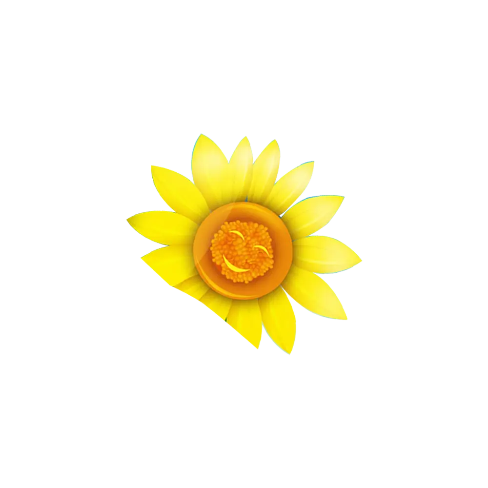Bright Yellow Sunflower Bloom