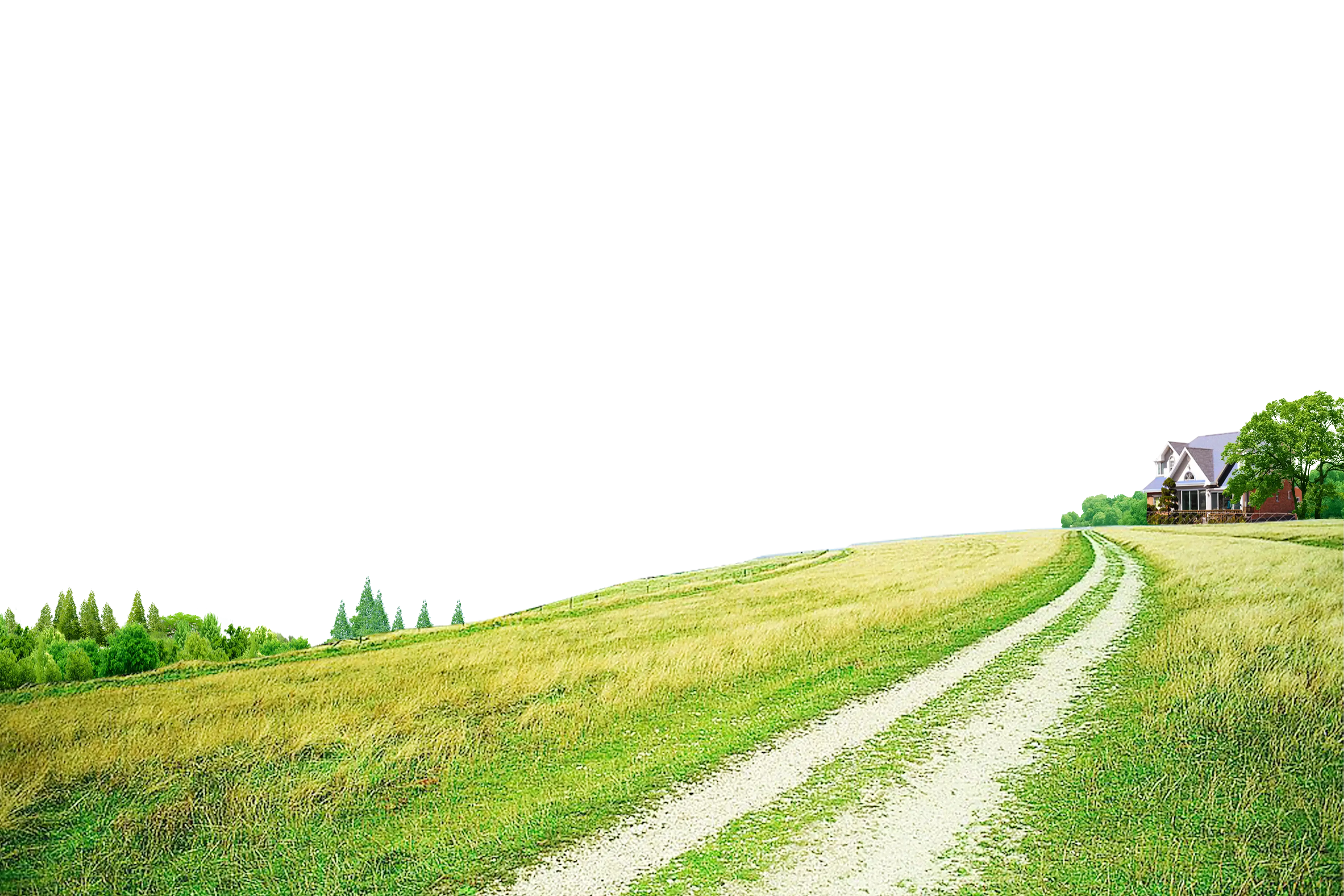 Country Road Leading to a Cozy House