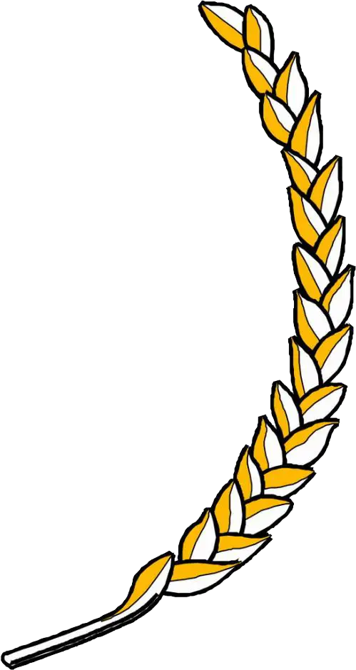 Yellow Wheat Grain Illustration