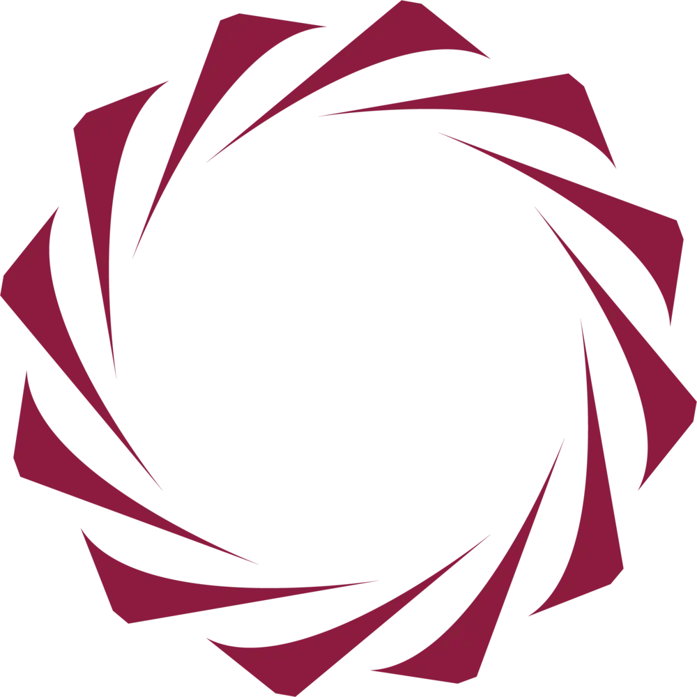 Geometric Circular Logo Design
