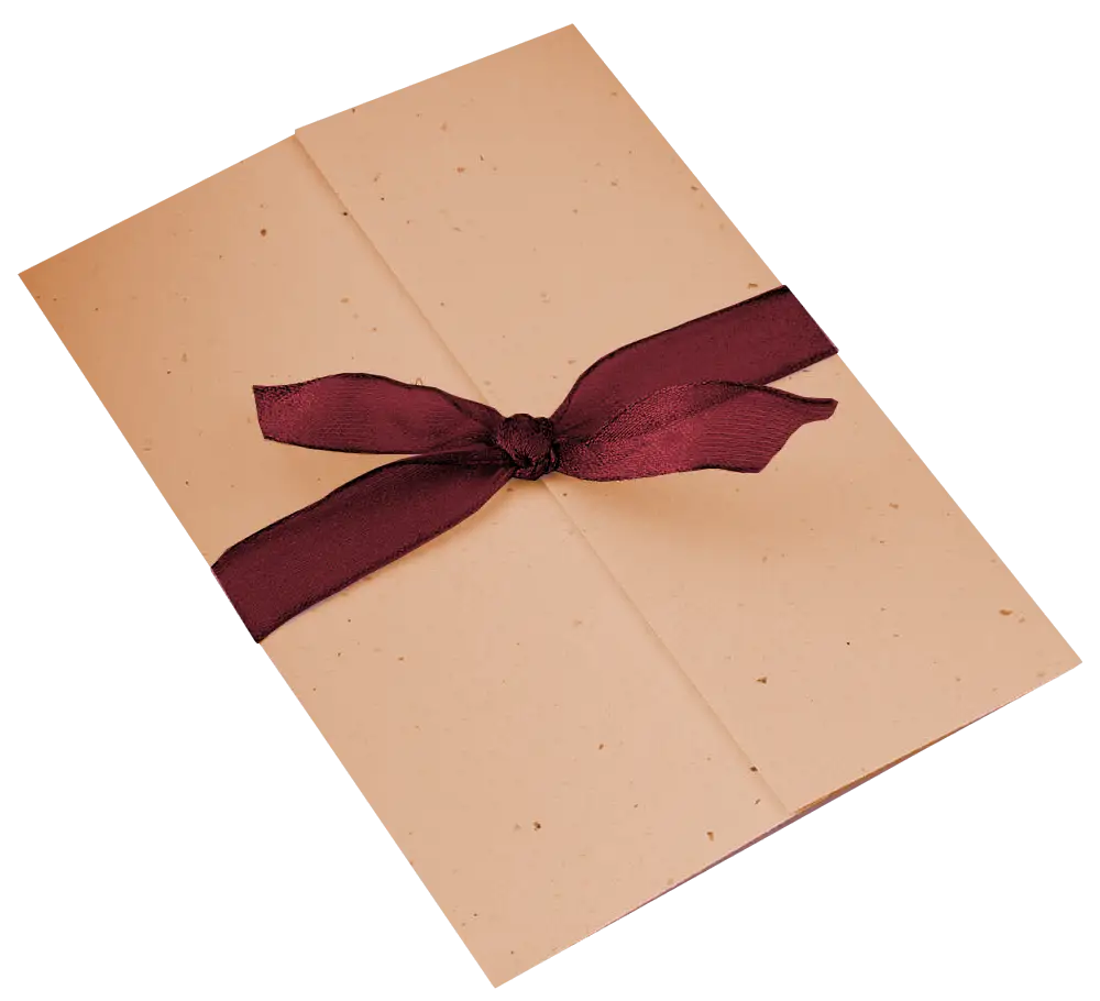 Gift Envelope with Burgundy Ribbon