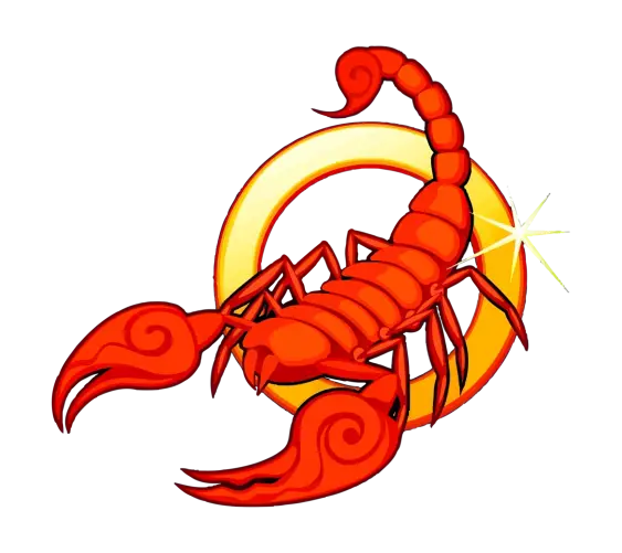 Scorpio Zodiac Scorpion Illustration