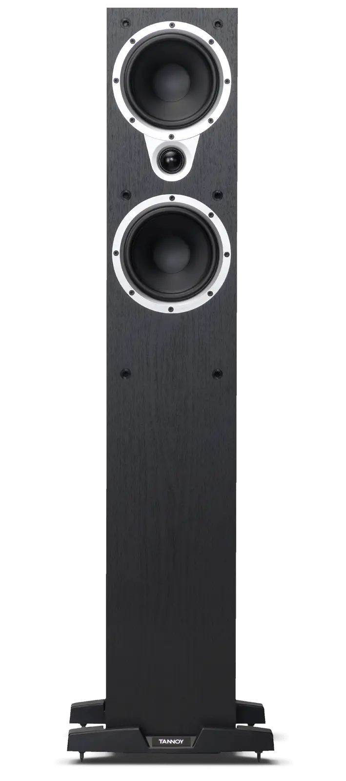Tall Floor-Standing Black Speaker
