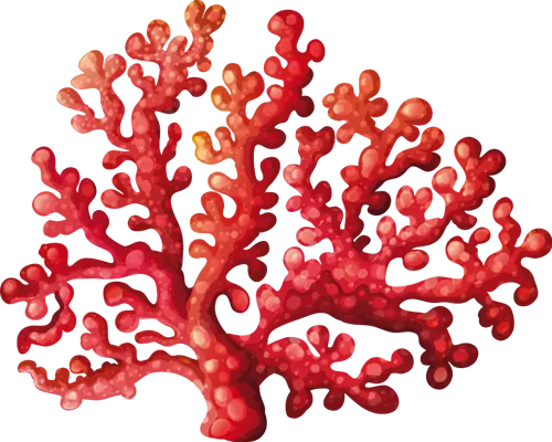 Red Coral Illustration