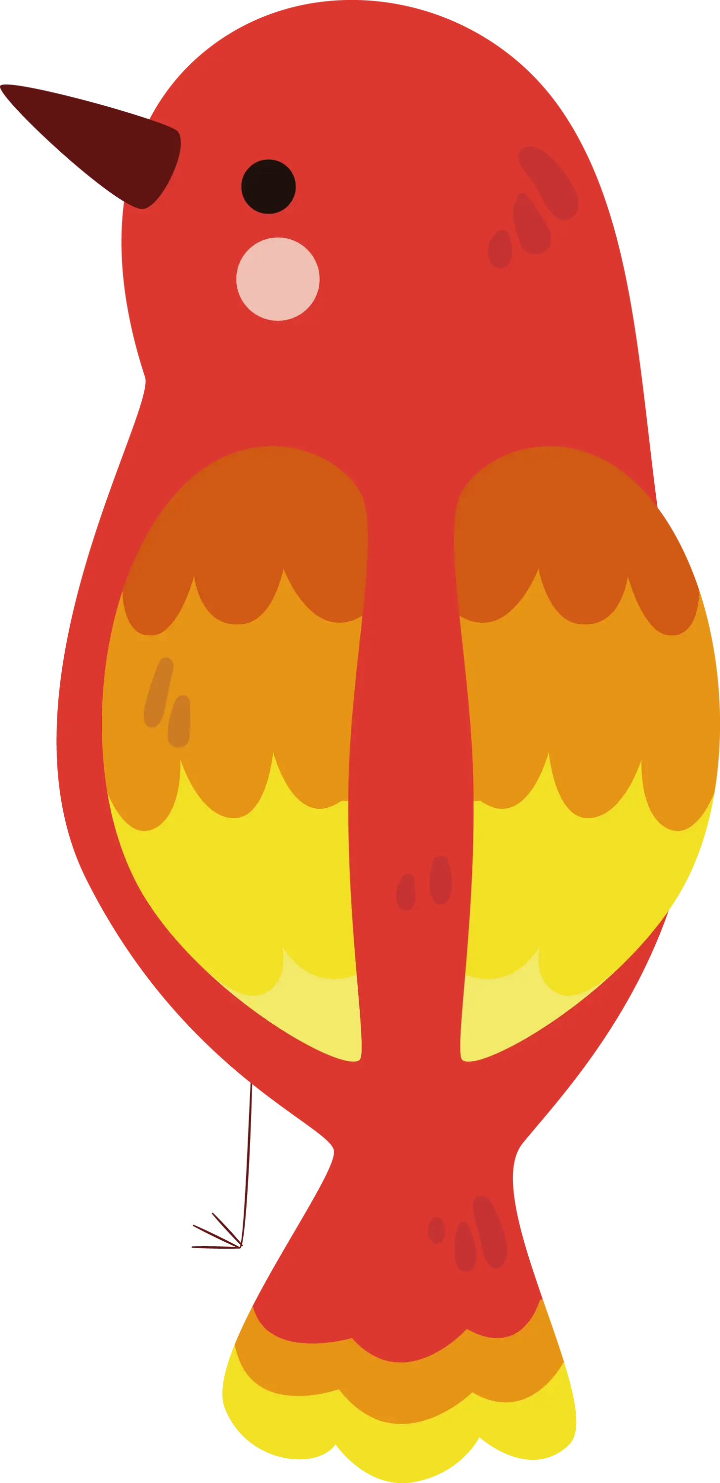 Red and Yellow Bird Illustration