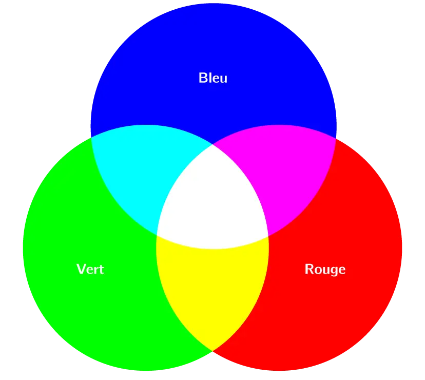 Color Venn Diagram with Intersection