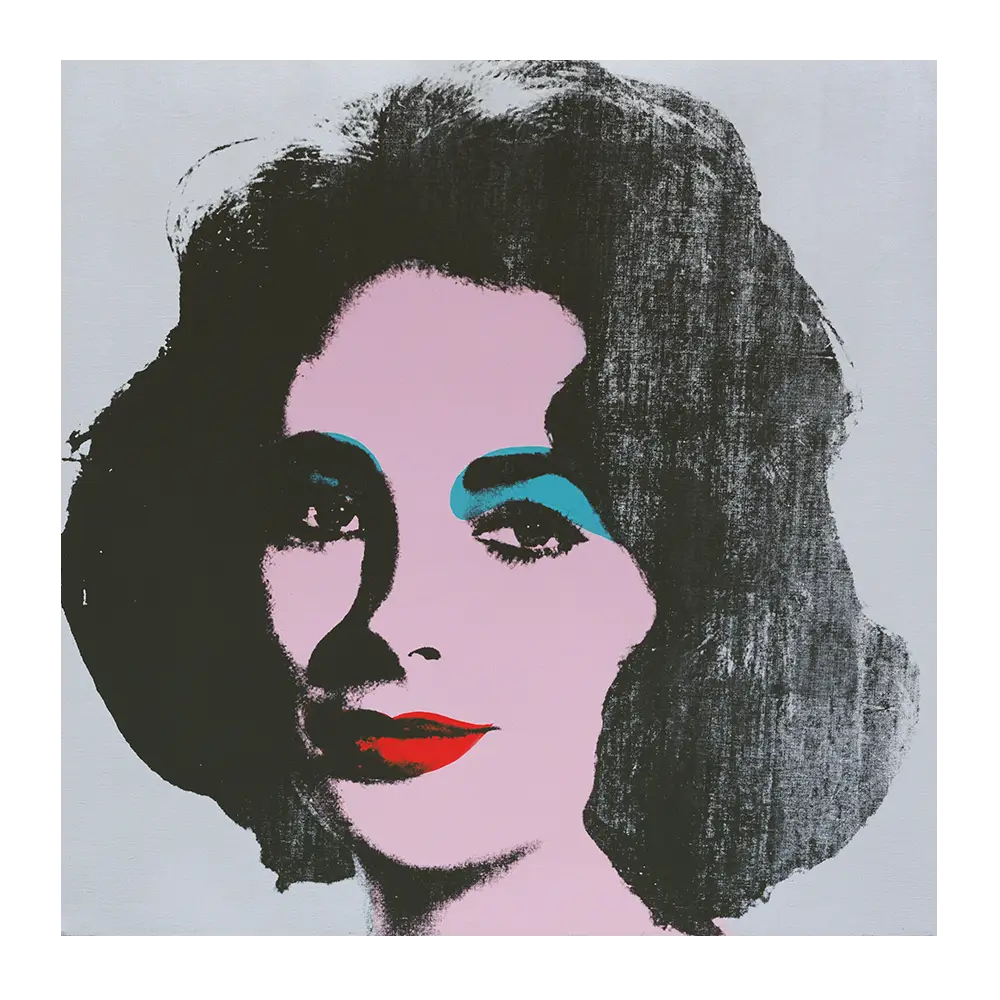 Pop Art Style Portrait
