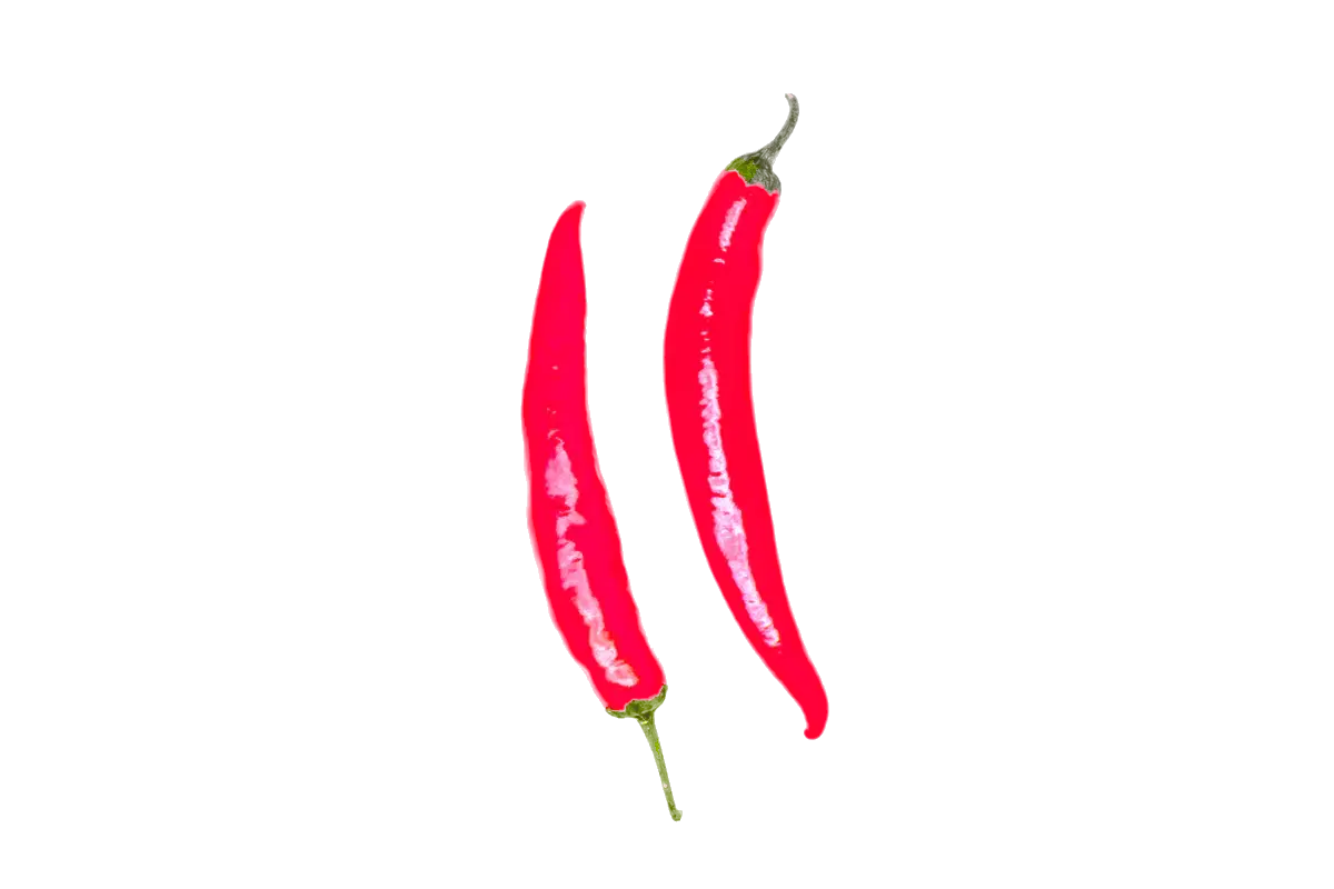 Bright Red Chili Peppers for Cooking and Spice