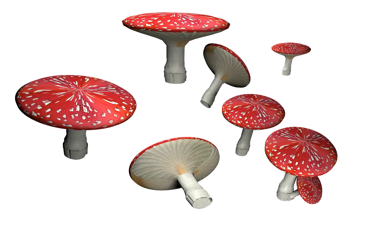 Red Spotted Mushrooms Illustration