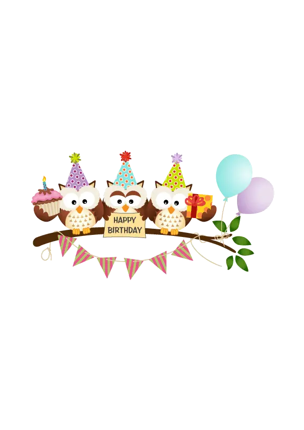 Cute Birthday Owls Illustration