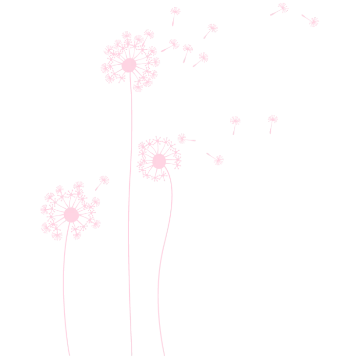 Pink Dandelion Illustration