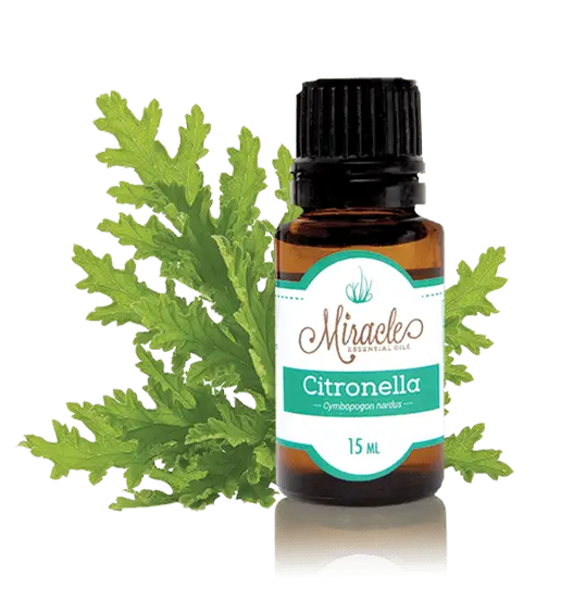 Citronella Essential Oil